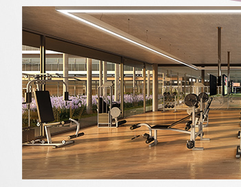 Perspectiva Ilustrada do Fitness