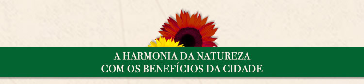 A harmonia da natureza com os benefícios da cidade