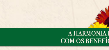 A harmonia da natureza com os benefícios da cidade