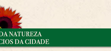 A harmonia da natureza com os benefícios da cidade